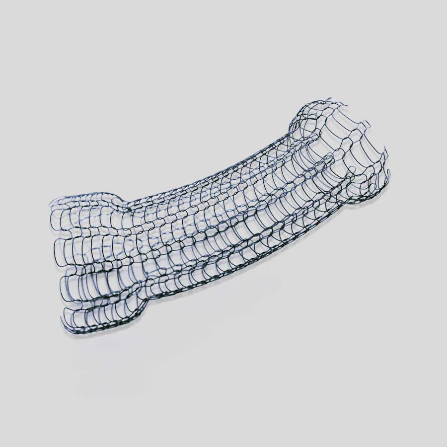 Esophageal Stents